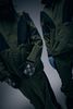 Yuki Threads 2025 Eddie Jacket