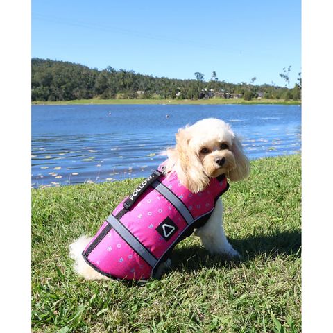 Follow 2026 Dog Buoyancy Vest