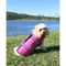 Follow 2026 Dog Buoyancy Vest