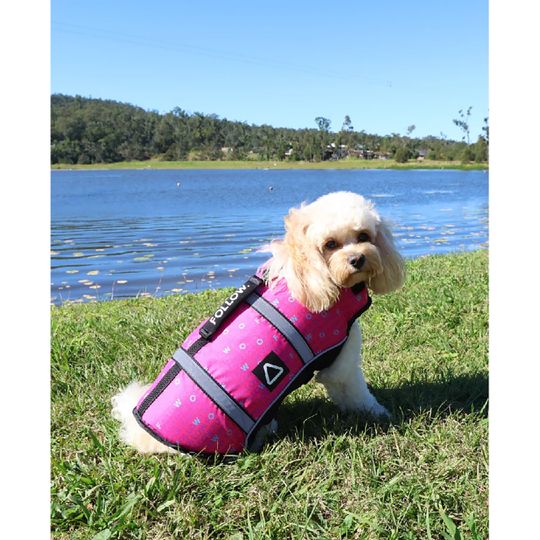 Follow 2026 Dog Buoyancy Vest