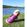 Follow 2026 Dog Buoyancy Vest