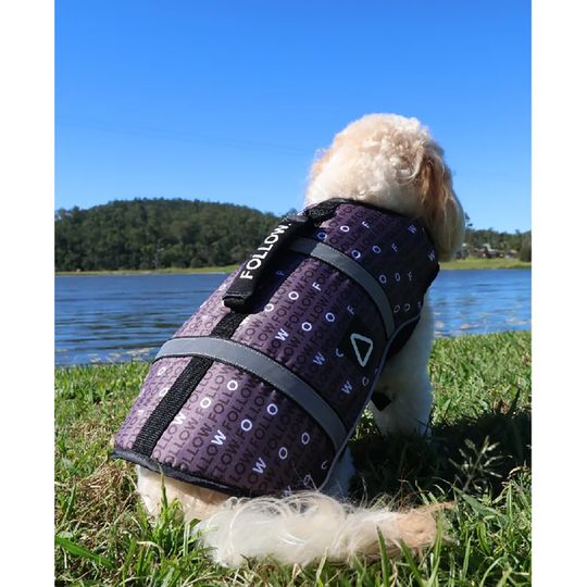 Follow 2026 Dog Buoyancy Vest