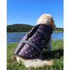 Follow 2026 Dog Buoyancy Vest