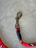 Radar Dog Bungee Leash Red - Used. C030