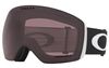 Oakley 2022 Flight Deck L Goggles