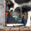 Slingshot 2026 Space Mob Wakeboard Boots