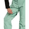 Burton 2026 Womens [Ak] Summit Gore-Tex 2L Pants