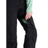 Burton 2026 Womens [Ak] Summit Gore-Tex 2L Pants