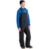 Burton 2026 [Ak] Cyclic Gore-Tex 2L Bib Pants