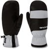 Dakine 2026 Baron Gore-Tex Mitts