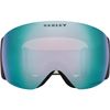 Oakley 2026 Flight Deck Pro L Goggles