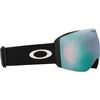 Oakley 2026 Flight Deck Pro L Goggles
