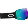 Oakley 2026 Flight Deck Pro L Goggles