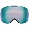 Oakley 2026 Flight Deck Pro L Goggles