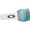 Oakley 2026 Flight Deck Pro L Goggles