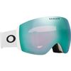 Oakley 2026 Flight Deck Pro L Goggles