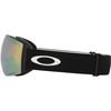 Oakley 2026 Flight Deck Pro L Goggles