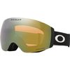 Oakley 2026 Flight Deck Pro M Goggles