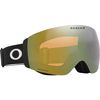 Oakley 2026 Flight Deck Pro M Goggles