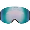Oakley 2026 Flight Deck Pro M Goggles