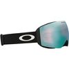 Oakley 2026 Flight Deck Pro M Goggles