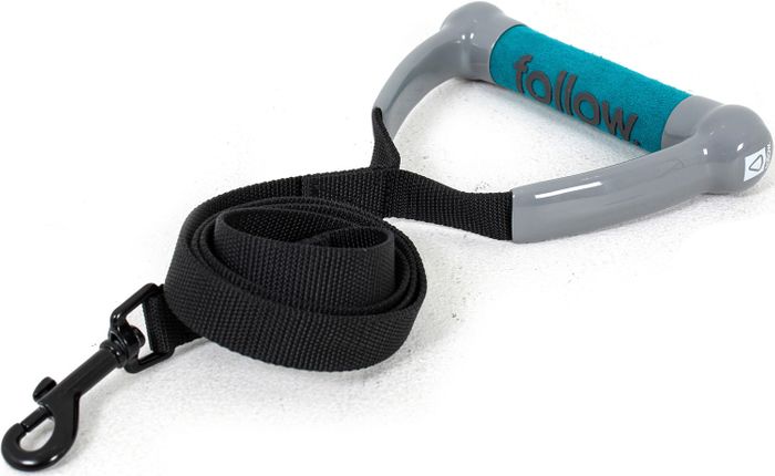 Follow 2025 DOG Lead