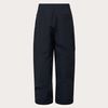 Oakley 2026 Channel Cargo Pant