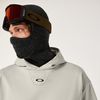 Oakley 2026 Solar Rail Softshell Hoodie