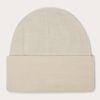 Oakley 2026 B1B Gradient Patch Beanie