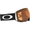 Oakley 2026 Flight Deck L Goggles