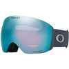 Oakley 2026 Flight Deck L Goggles