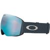 Oakley 2026 Flight Deck L Goggles