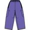 Burton 2027 Futuretrust 3L Pants