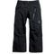 Burton 2027 Men's [ak] Cyclic Gore-Tex 2L Pants
