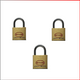 WYNNS 30MM PADLOCK