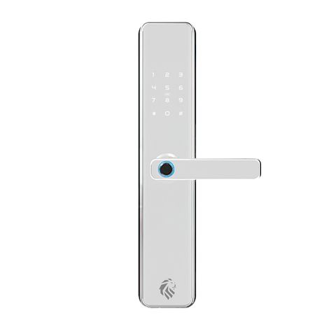 LIONHEAD TTLock The SEYMOR Entrance Lock Silver Fingerprint,