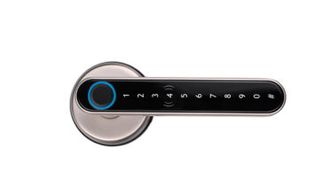 LIONHEAD TTLock The PIPER Entrance Lock Silver Fingerprint,