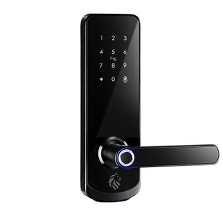 LIONHEAD TTLock The NICHOLSON Entrance Lock Black Fingerprin