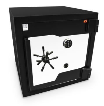 FX-80 SECURITY & FIRE RESISTANT SAFE KEY LOCK