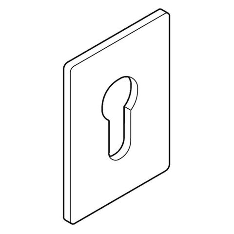 BDS SCAR PLATE SPEUROL LGE EURO WITH D/S TAPE