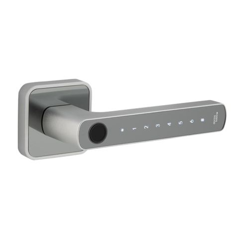 DORMAKABA ROSE BIOMETRIC DIGITAL DOOR HANDLE, SILVER