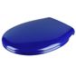 Citte Care Toilet Seat Blue