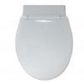 Carnival Toilet Seat