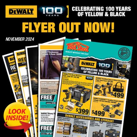 DEWALT Flyer November 2024