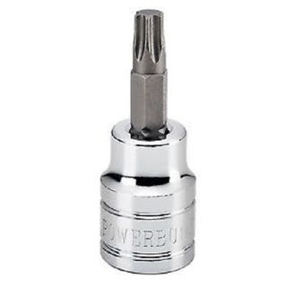 Powerbuilt Socket 3/8in Dr Torx T-40