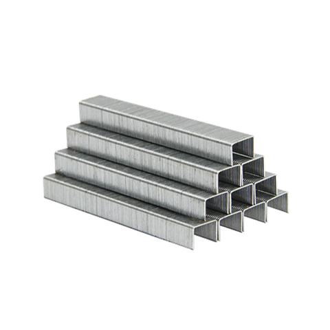 ToolShed Staple Gun Staples 10 x 6mm 1000pc