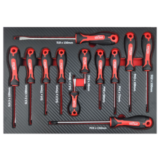 ToolShed Screwdriver Set 12pc in Foam Insert