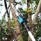 Makita XGT Cordless Pole Saw Brushless 30mm 12in 40v 4Ah