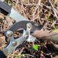ToolShed Pruning Loppers