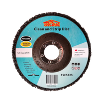 ToolShed Clean and Strip Disc 125mm